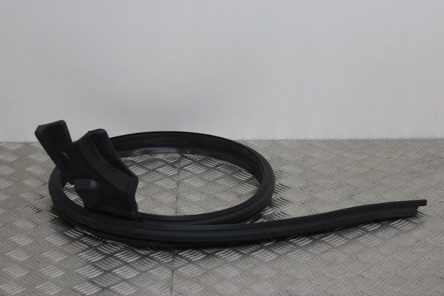 Windscreen Moulding R
