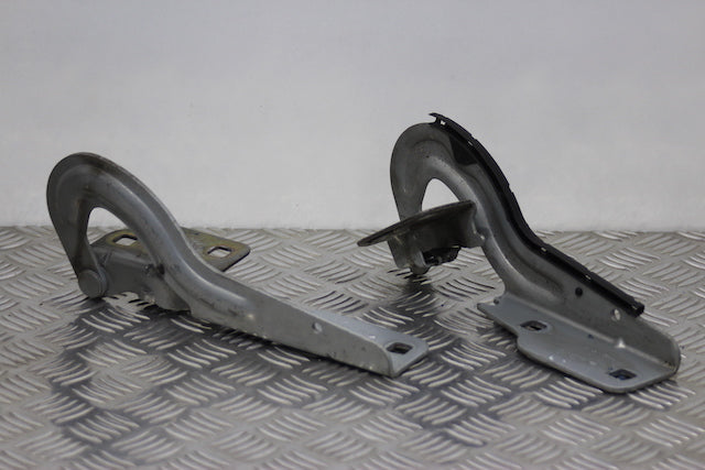 Renault Scenic Bonnet Hinge x2 (2003)