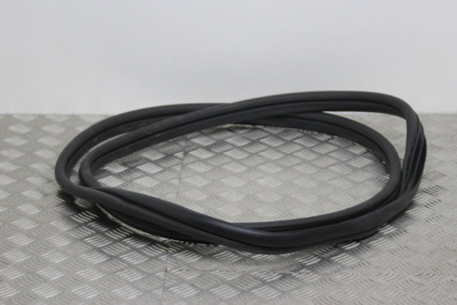 Door Seal Front Drivers Side