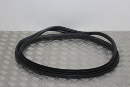 Door Seal Front Passengers Side