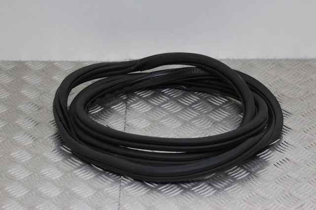 Volkswagen Golf Door Seal Front Passengers Side 