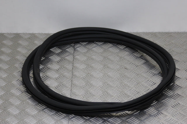 Volkswagen Golf Door Seal Rear Passengers Side 