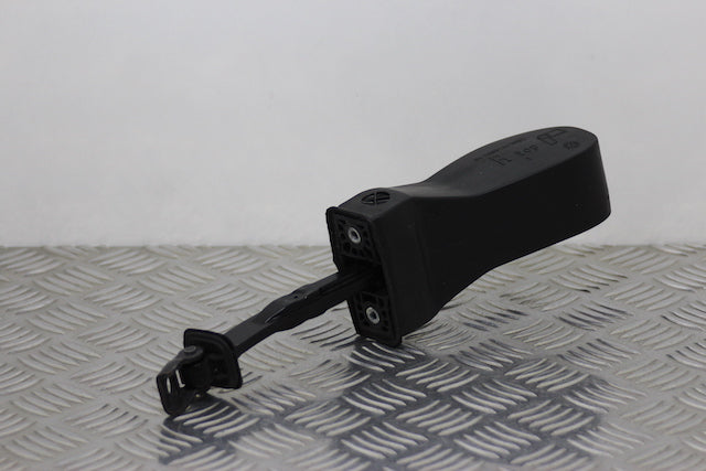 Volkswagen Golf Door Check Strap Front Passengers Side 