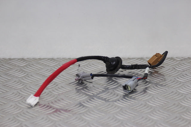 Toyota Corolla Tail Lamp Bulb Holder Passengers Side 
