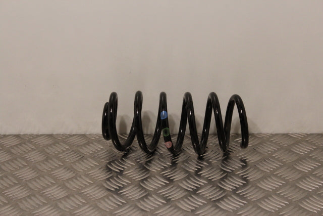 Renault Clio Coil Spring Rear Passengers Side (2013)