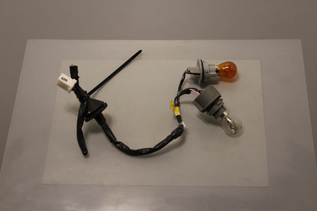 Hyundai i30 Tail Lamp Bulb Holder Passengers Side (2013)