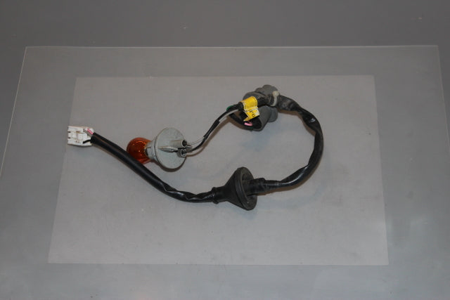 Hyundai i30 Tail Lamp Bulb Holder Drivers Side (2013)