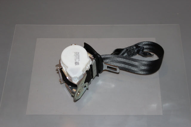 Seat Ibiza Seat Belt Rear Passengers Side (2014)