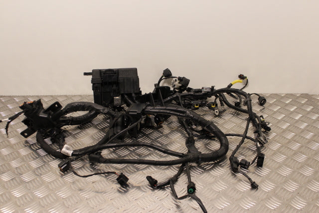 Hyundai i10 Engine Engine Loom Single Block Connector (2016)
