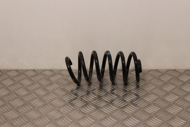 Renault Clio Coil Spring Rear Drivers Side (2016)