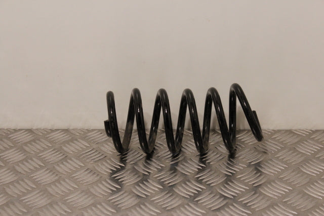 Renault Clio Coil Spring Rear Passengers Side (2016)
