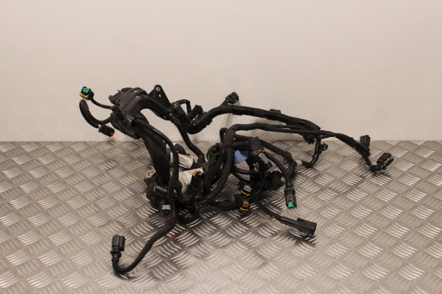 Citroen Picasso C4 Engine Loom Single Block Connector (2015)
