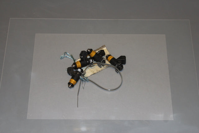 Renault Scenic Fuel Injector (2003)