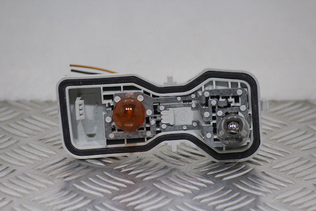 Renault Megane Tail Lamp Bulb Holder Drivers Side (2004)