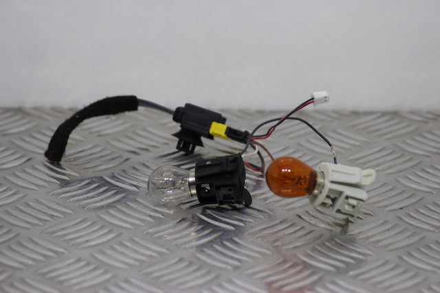 Renault Scenic Tail Lamp Bulb Holder Drivers Side Rear (2010)