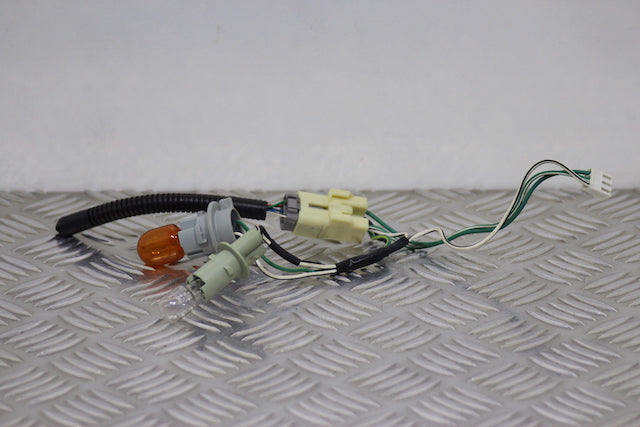 Toyota Rav4 Tail Lamp Bulb Holder Drivers Side 