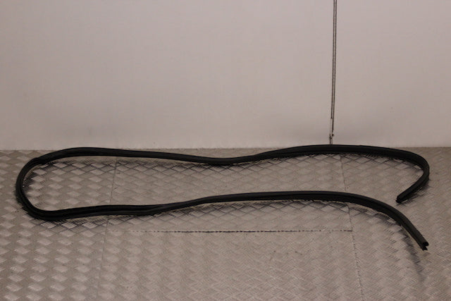 Nissan Qashqai Door Seal Front Passengers Side 