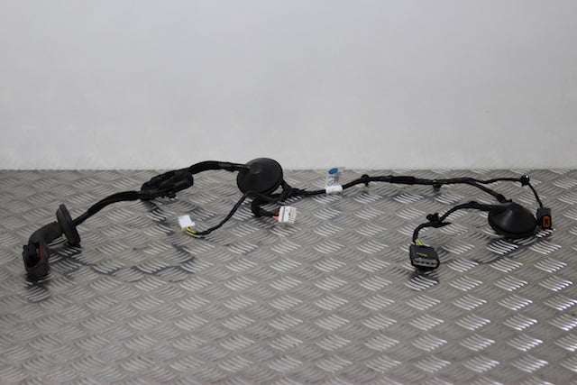 Kia Sportage Door Wiring Loom Rear Passengers Side 