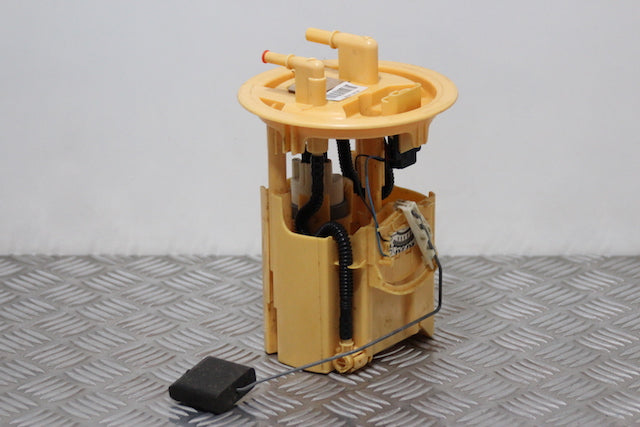 Peugeot 206 Fuel Pump 