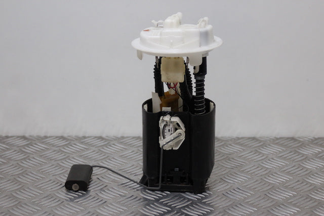 Peugeot 206 Fuel Pump 
