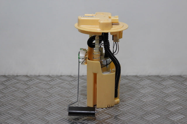 Renault Clio Fuel Pump (2016)