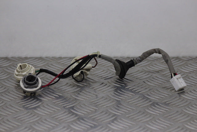 Hyundai Coupe Tail Lamp Bulb Holder Passengers Side 