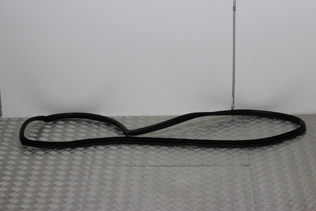 Kia Sportage Door Seal Rear Passengers Side 