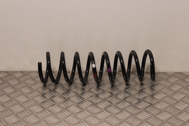 Ford Kuga Coil Spring Rear Drivers Side (2016)