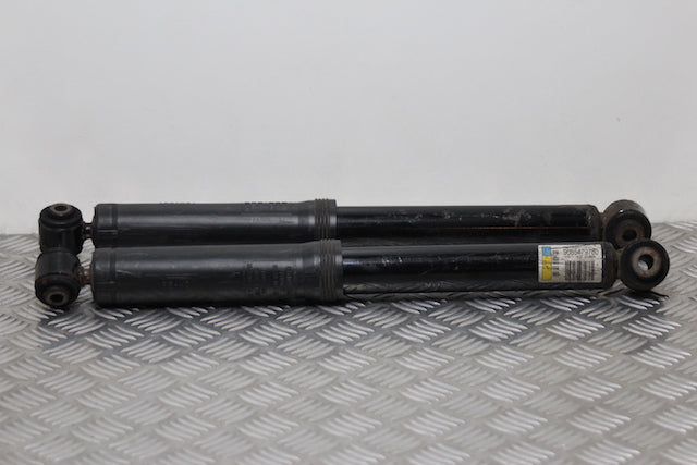 Citroen C3 Shock Absorber Rear x2 