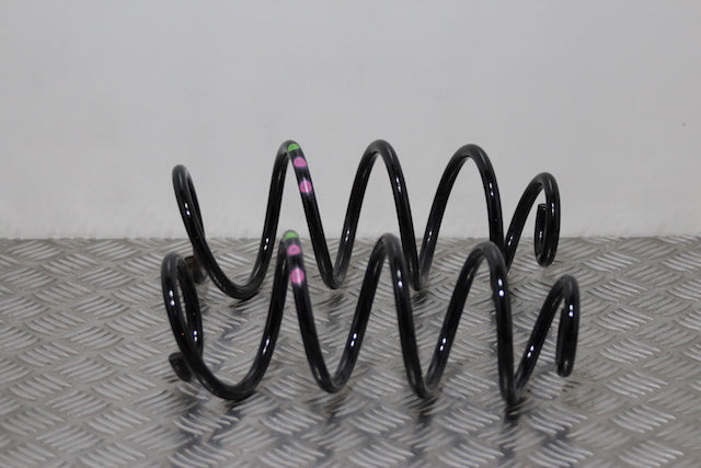 Renault Clio Coil Spring Rear x2 