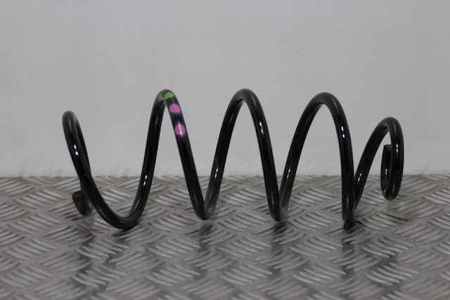 Renault Clio Coil Spring Rear Passengers Side 