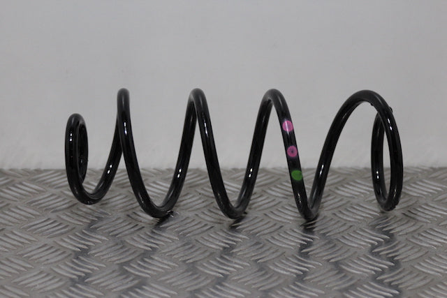 Renault Clio Coil Spring Rear Drivers Side 