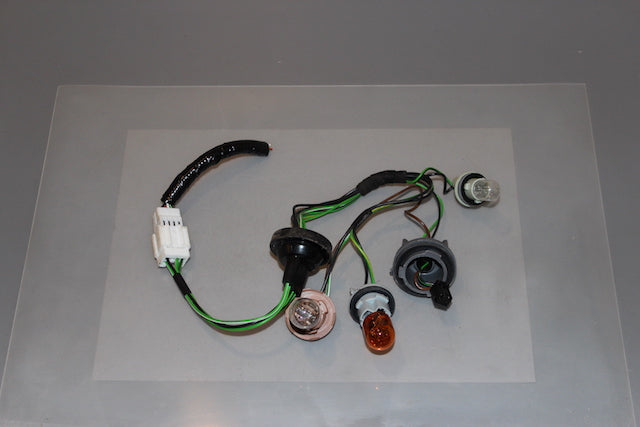 Nissan Juke Tail Lamp Bulb Holder Drivers Side 