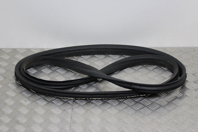 Renault Clio Door Seal Front Passengers Side 