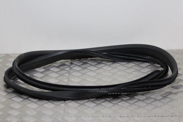 Renault Clio Door Seal Front Drivers Side 