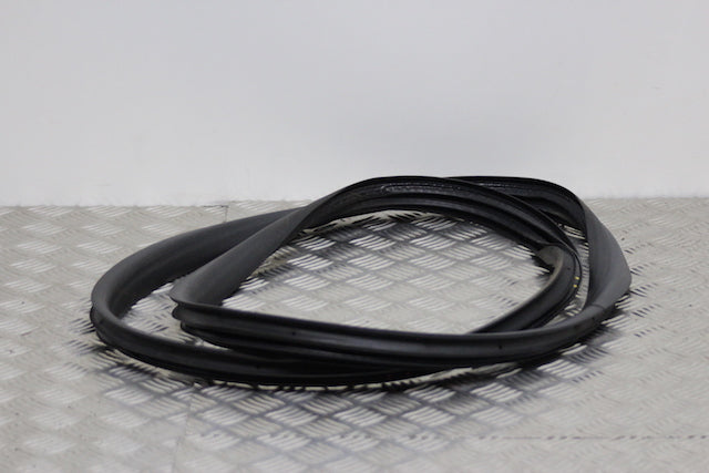 Renault Clio Door Seal Rear Passengers Side 