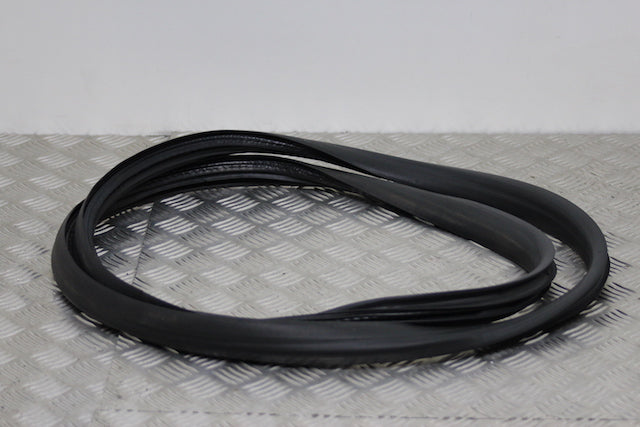 Renault Clio Door Seal Rear Drivers Side (2020)