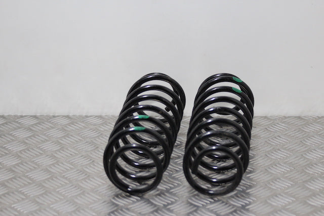 Renault Scenic Coil Spring Rear 