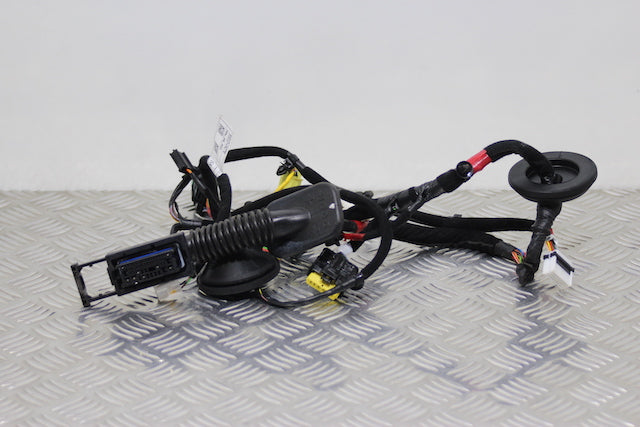 Hyundai i30 Door Wiring Loom Front Passengers Side 