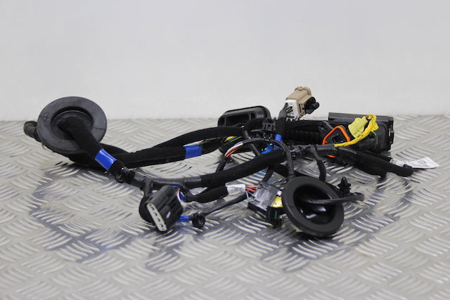 Hyundai i30 Door Wiring Loom Front Drivers Side 