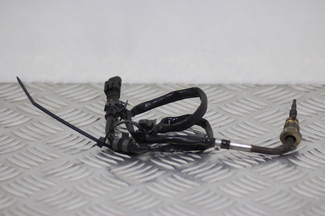 Hyundai i30 Exhaust Emission Temperature Sensor No1 