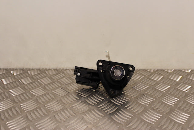 Dacia Duster Tailgate Boot Lock Barrel No Key 