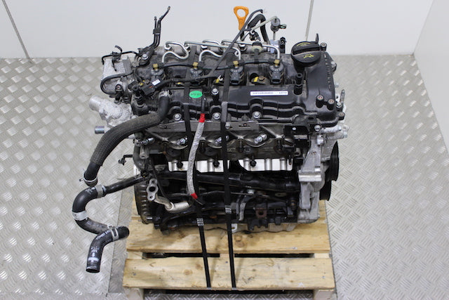 Kia Rio Engine  