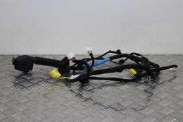 Hyundai i10 Door Wiring Loom Front Drivers Side 