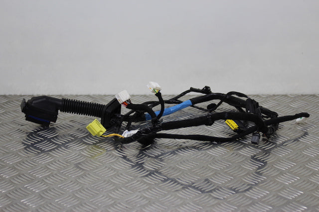 Hyundai i10 Door Wiring Loom Front Drivers Side 