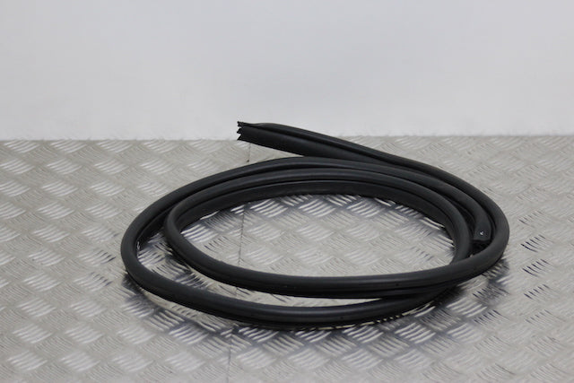 Hyundai i10 Door Seal Front Drivers Side 