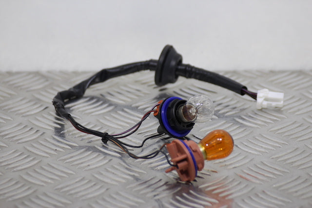 Hyundai i10 Tail Lamp Bulb Holder Passengers Side 