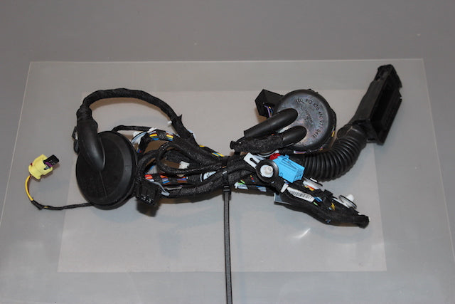 Audi A3 Door Wiring Loom Front Passengers Side 