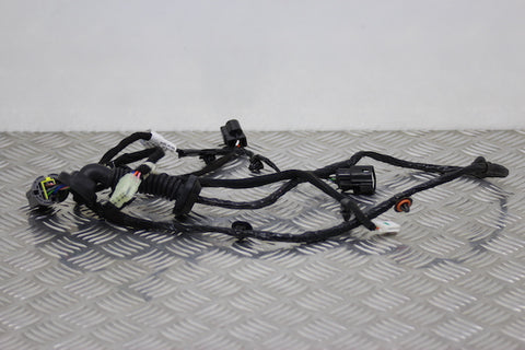 Hyundai i10 Door Wiring Loom Rear Drivers Side 