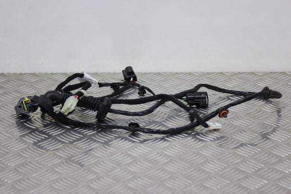 Hyundai i10 Door Wiring Loom Rear Drivers Side (2023) - 1